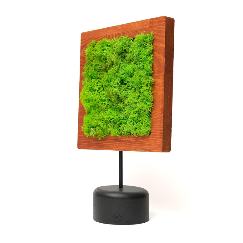 Decorative Object