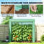 Greenhouse-123515065
