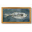 «Deep Sea Swimmer II», reproduction d'un seul cadre photo sur toile-1946424210