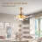 Karneshia Ceiling Fan with LED Lights-917502694