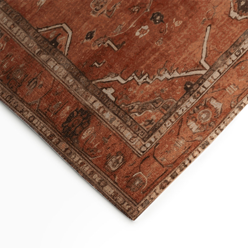 Tapis intérieur et extérieur brun Overdyed, Rectangulaire 3 pi x 5 pi