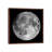Full Moon by Roth Ritter - Print on Canvas-1341488751-1341488664