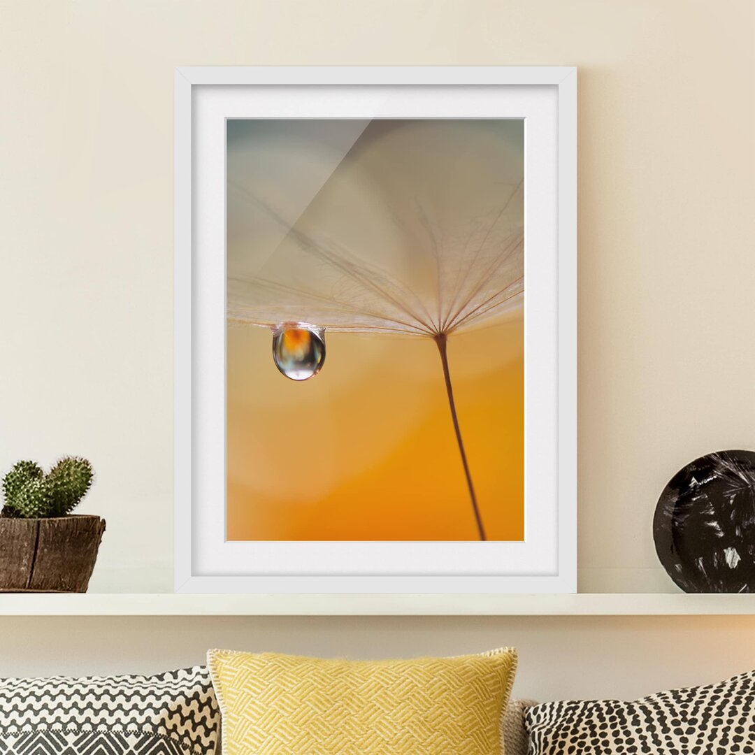 Gerahmtes Papierbild Pusteblume in Orange