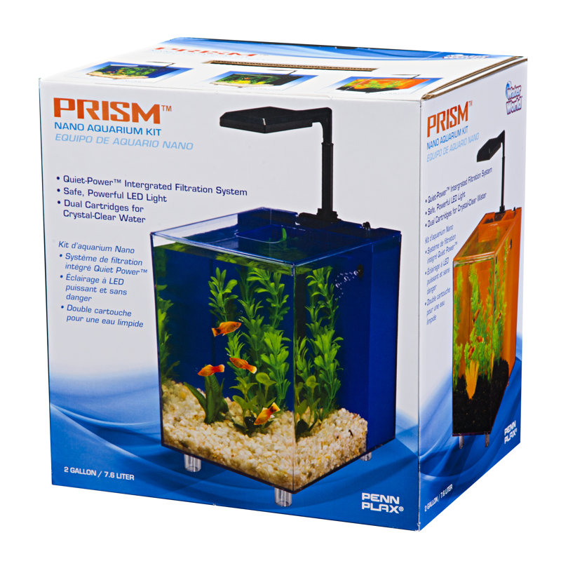 Blue Glass Cube Desktop Aquarium with Filtration System