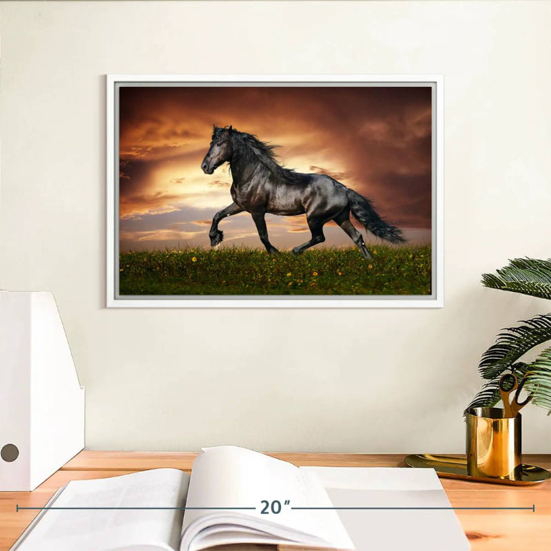 Cheval baroque, Cadre flottant blanc, 13 po x 9 po