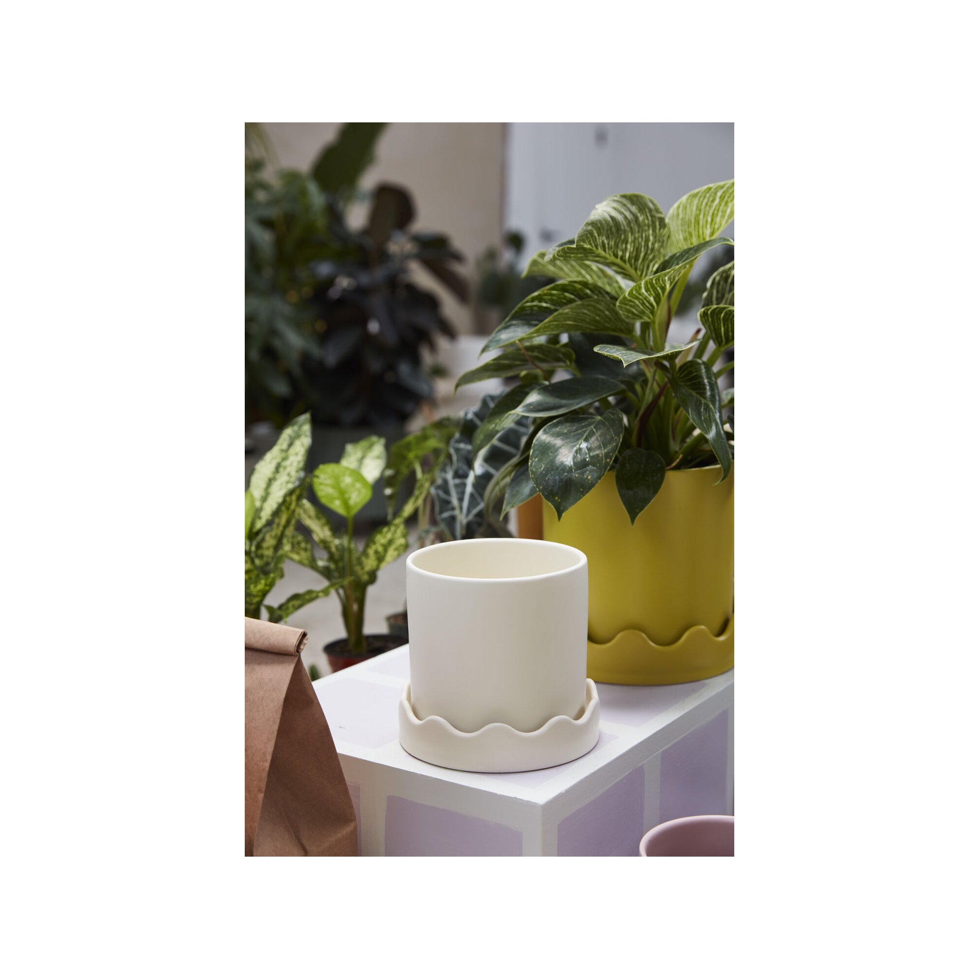 Winterview Pot with Saucer 7.5"x 7.25", Beige, 5.75" H x 6" W x 6" D