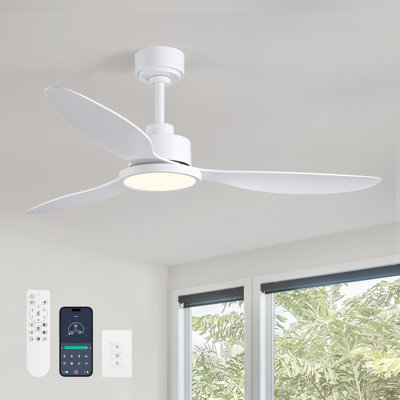 3 - Blade Dimmable Ceiling Fan With Led Light & Remote Control