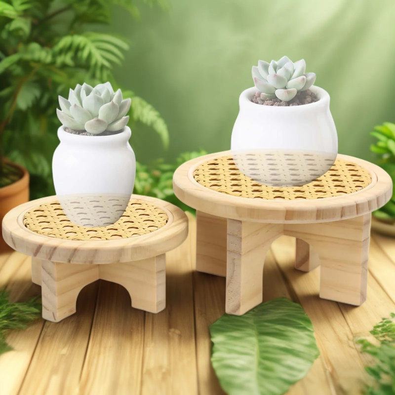 Ensemble de support à plante rustique en bois avec décor en rotin tissé à la main, petite tablette de présentation pour plantes d'intérieur, plantes grasses et bureau à domicile