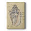 Seashell Ephemera I - impression sur toile tendue-450753672