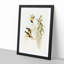 Australian Sunbirds by Elizabeth Gould - Single Picture Frame Painting-55457002-55457003