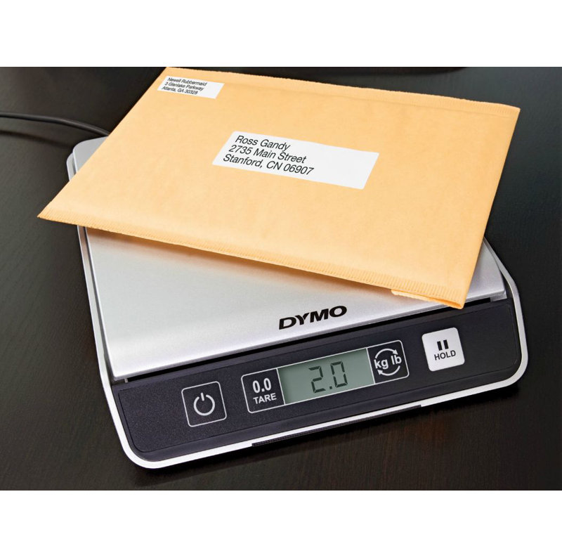 Pelouze Manufacturing Company Scale