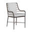 Carmel Patio Dining Armchair with Cushions-63361278-69974639