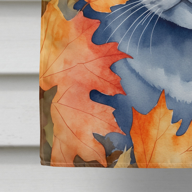 Chat en feuilles d'automne, British Shorthair