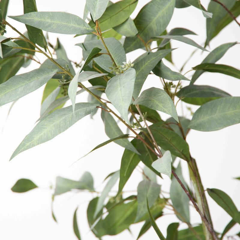 62'' Faux Eucalyptus Tree in Pot