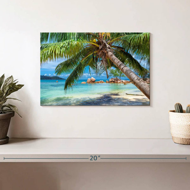 Gillard Coastal Palm, H 8 po x l 12 po