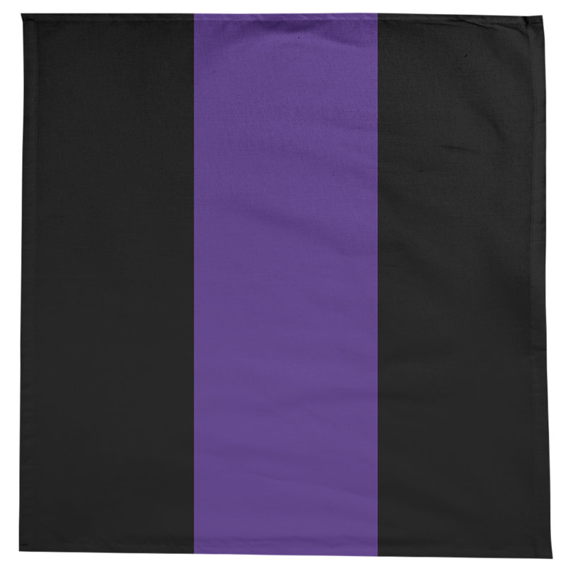 Nappe Clemson, Evanston Cat Black/Purple/Black