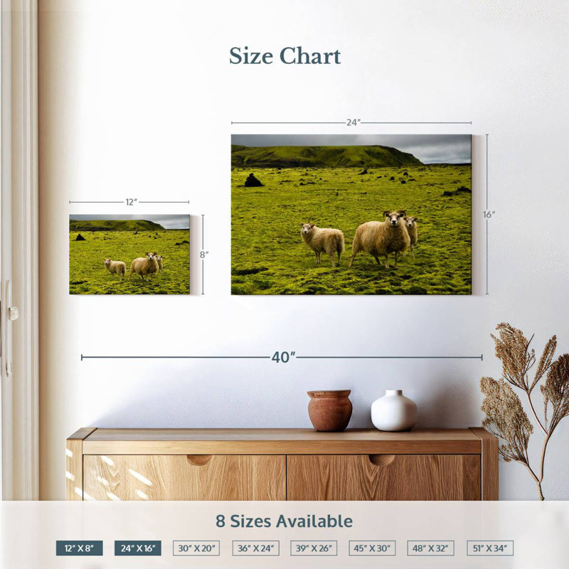 Crowle Icelandic Sheep, 16" H x 24" W