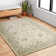 Fitzwater Wool Oriental Indoor Rug