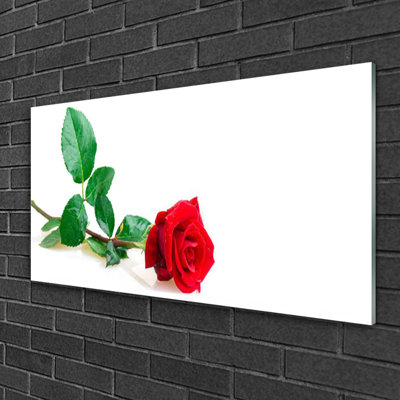 Floral Rose - No Frame Print on Glass
