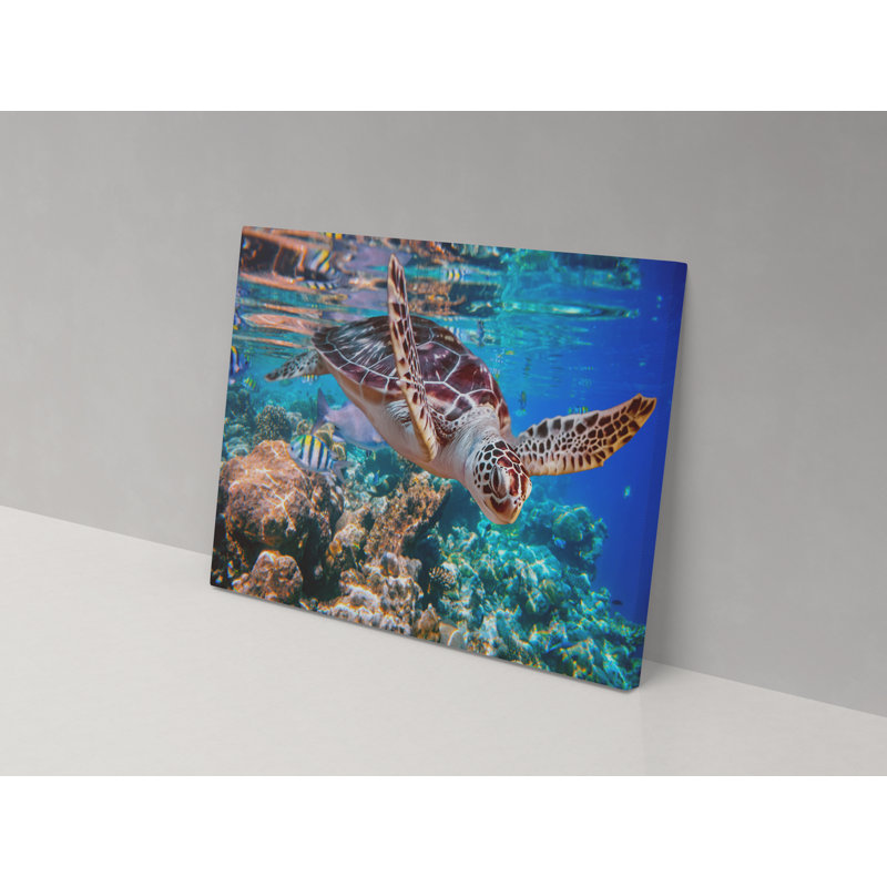 Beneath The Sea - Wrapped Canvas Print, 82cm H x 123cm W x 4cm D