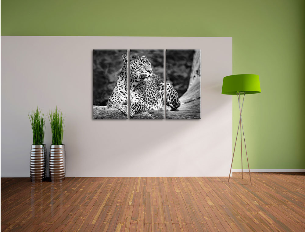 3-tlg. Leinwandbilder-Set „Wunderschöner Leopard in der Natur“, Fotodruck