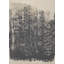 Contemporary Abstract Area Rug-1710753954