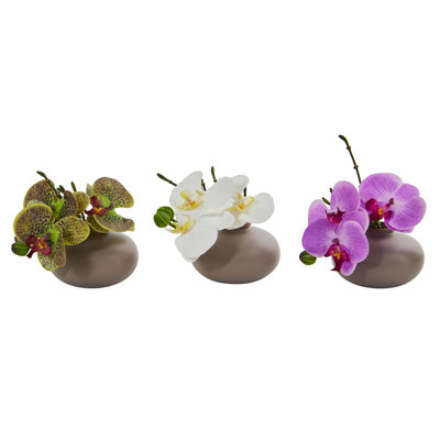 Arrangement floral orchidée phalaenopsis 7" dans un pot de fleurs