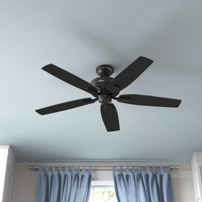 52" Newsome 5 - Blade Outdoor Standard Ceiling Fan with Pull Chain