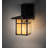 Rustic Lodge Solid Brass Armed Sconce
