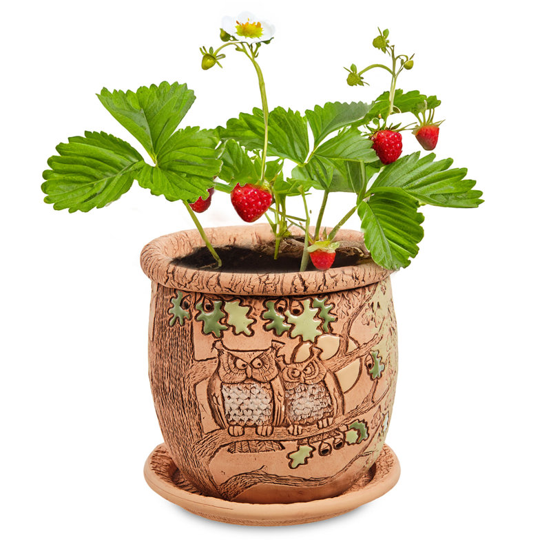 Pot à fleurs en céramique avec trou de drainage et soucoupe Annalyia Owls