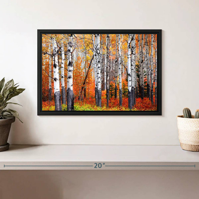 Forêt de trembles de Banff, Cadre flottant noir, 13 po x 9 po