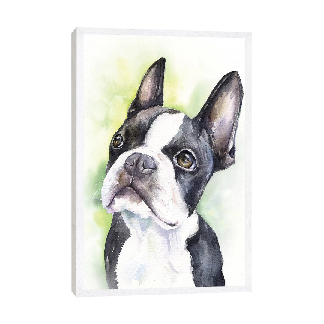 Boston Terrier Puppy by George Dyachenko - Floater Frame Painting on Canvas