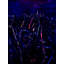 Lower Manhattan Print by Karin Batten-65792515-132454838