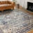 Claribel Oriental Indoor Rug-477413909