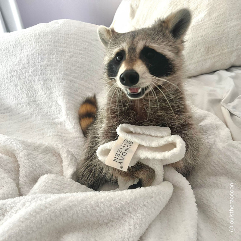 Snug Throw Blanket, Off White