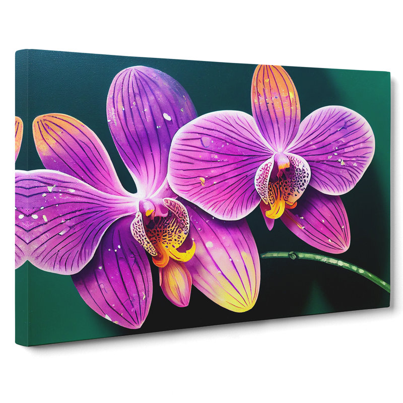 Seductive Orchid Flowers - Wrapped Canvas, 35cm H x 50cm W x 3cm D