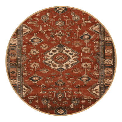 Machine Washable Turkish Brown Area Rug