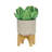 S/2 8/10" Planter W/ Wood Stand-670704972-670704975