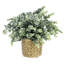 24.89cm Faux Eucalyptus Plant in Concrete Pot