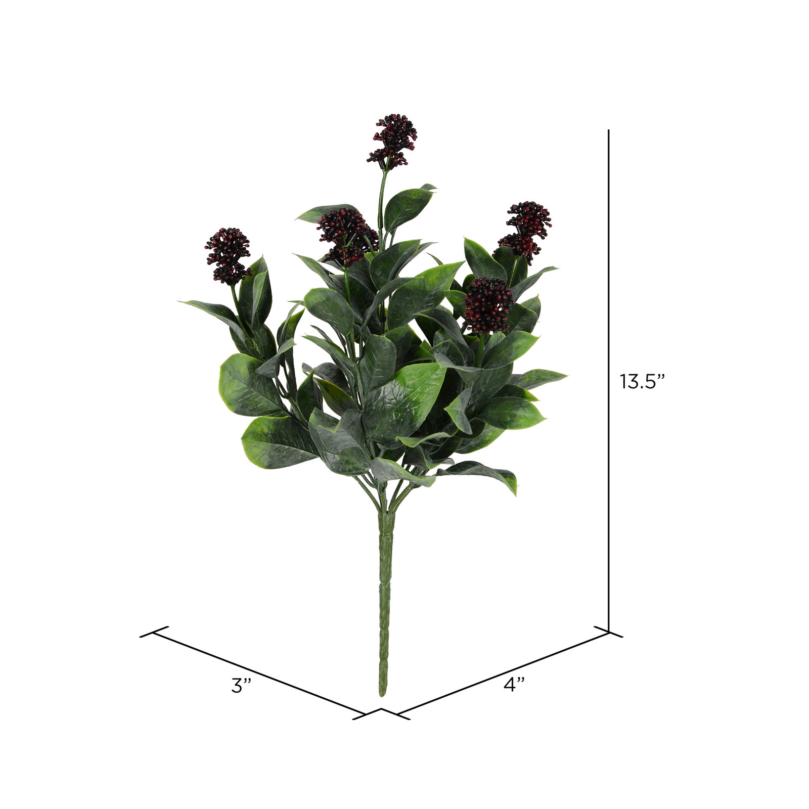 Berry Ficus Stems