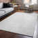 Premium Machine Washable Cerrito AMF591 Silver Rug