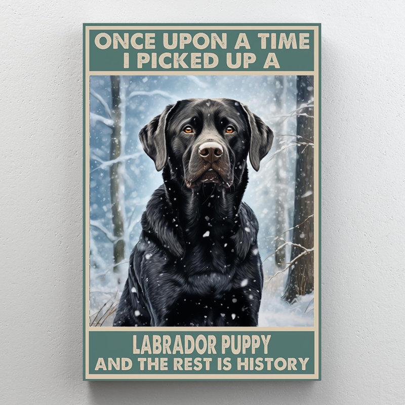 I Picked Up A Labrador 1, H 20 po x l 16 po x P 1,25 po