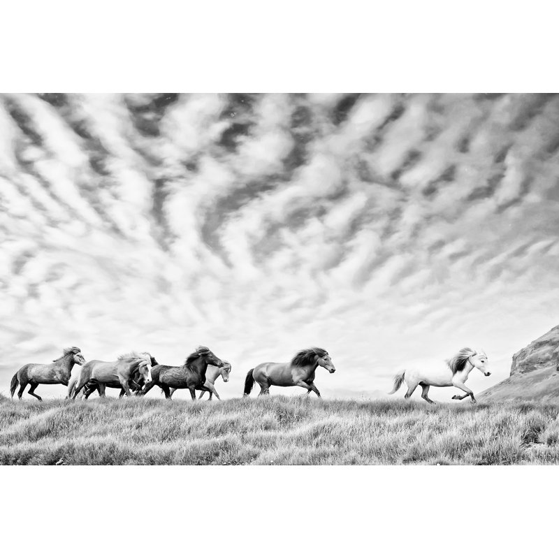 Reproduction d’art sur toile tendue « Horse Run III » par PHBurchett, H 24 po x l 36 po