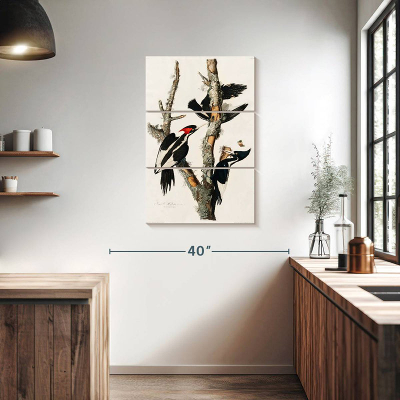 Brampt Ivory Billed Woodpecker, 38" H x 24" W