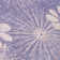 Machine Washable Indoor/Outdoor Leavittsburg ACN2225 Floral Rug