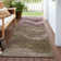 Machine Washable Indoor/Outdoor Cinead ACN1700 Taupe Rug