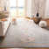 Felty Oriental Light Gray Area Rug
