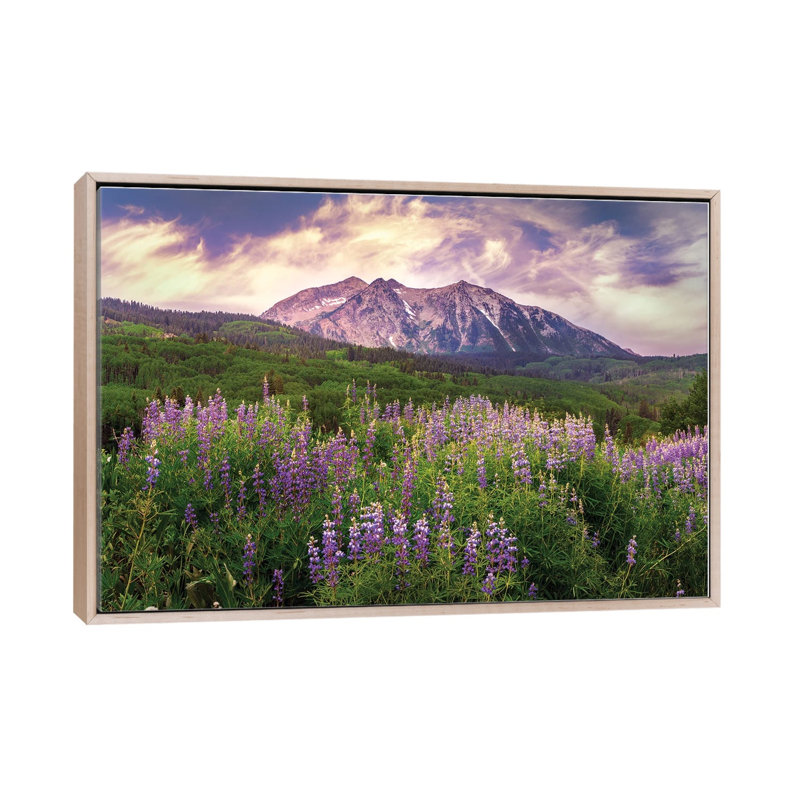 Colorado Wildflowers Summer Landscape - Kebler Pass Lupine Flowers 1 Piece Wall Art on Canvas, Natural Wood