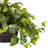 15'' Faux Pothos Plant in Wood Planter