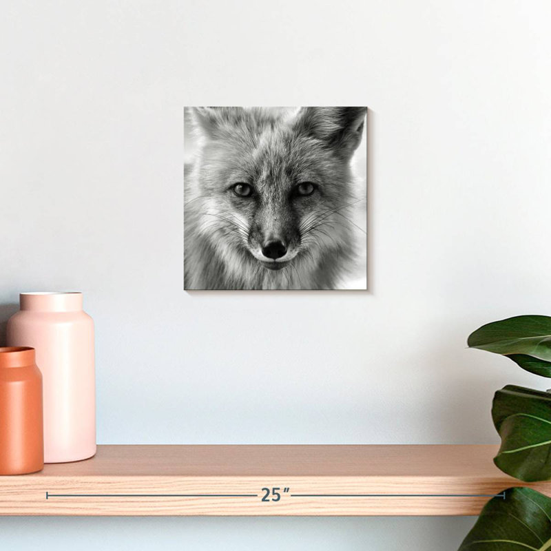Crowle Fox Portrait, H 10 po x l 10 po